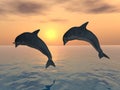 Jumping Dolphins Royalty Free Stock Photo