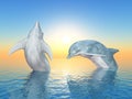 Jumping dolphins at sunrise Royalty Free Stock Photo