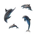 Jumping dolphins on white Royalty Free Stock Photo