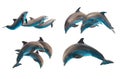 Jumping dolphins on white Royalty Free Stock Photo