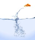 Jumping Goldfish