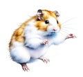 Jumping hamster on white background isolated. Cute little pet, ginger and white