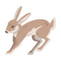 Jumping Hare or Jackrabbit as Swift Animal with Long Ears and Grayish Brown Coat Vector Illustration