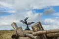 Jumping Hare Statue on dune, Knokke-Heist, Belgium