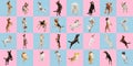 Stylish dogs and cats posing. Cute pets happy. The different purebred puppies and cats. Creative collage isolated on