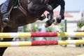 Jumping horse