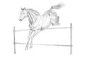 Jumping horse drawing Royalty Free Stock Photo