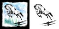 Jumping Horse hand drawn digital illustration