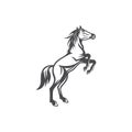 Jumping horse illustration