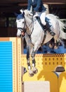 Jumping horse with rider