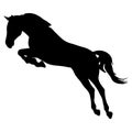 Jumping horse, silhouette. Vector illustration Royalty Free Stock Photo