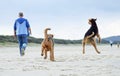 Jumping for joy man & his dogs running playing on sand beach Royalty Free Stock Photo