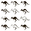 Jumping kangaroo icon set