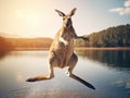 Jumping kangaroo Royalty Free Stock Photo