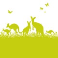 Jumping kangaroos in the grass Royalty Free Stock Photo