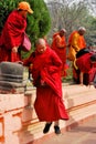 Jumping lama at bodhgaya Royalty Free Stock Photo