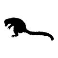 Jumping Lemur Lemur Catta On a Side View Silhouette Found In Map Of Africa. Good To Use For Element Print Book, Animal Book