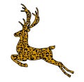 Jumping leopard deer