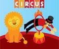 Jumping lion in circus. Animal trainer and lion Royalty Free Stock Photo