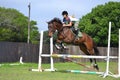 Jumping Mare