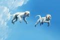 Jumping Moment, Two Mandrillus On Sky Blue Background