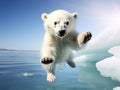 Jumping Polar bear cub Royalty Free Stock Photo