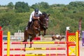 Jumping qualifier. Horse racing. Royalty Free Stock Photo