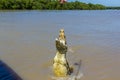 Jumping saltwater crocodile in Kakadu National Park in Australia& x27;s Northern Territory Royalty Free Stock Photo