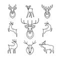 Jumping and standing deers, moose, antlers