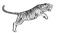 Jumping tiger hand drawn black and white sketch. Angry predator line art mascot. Royalty Free Stock Photo