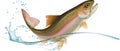 Jumping trout Royalty Free Stock Photo