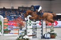 International Horse Riding 121ÃÂ° Horse Fair in Verona Royalty Free Stock Photo