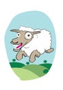 Jumpy sheep