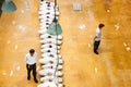 Japanese Tuna auction in fish market - Misaki Port fish market, Kanagawa Royalty Free Stock Photo