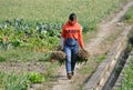 Jun Le, China: Woman Walking in Field