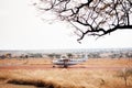 Light single engine Cessna plane running on airstrip in Serengeti Grumeti Reserve - Tanzania