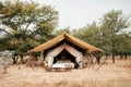 Luxury Safari tent camp in Serengeti Savanna forest - Glamping travel in Africa wild forest