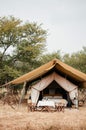 Luxury Safari tent camp in Serengeti Savanna forest - Glamping travel in Africa wild forest