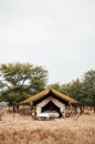 Luxury Safari tent camp in Serengeti Savanna forest - Glamping travel in Africa wild forest