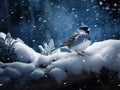 Junco bird in the snow Royalty Free Stock Photo