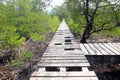 Junction of damaged wooden bridge