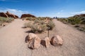 Junction at the Devils Arch trail, one direction going to Landscape Arch, another going to Pine Tree Arch and Tunnel Arch