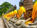 June 2011 Ayutthaya, Thailand - Buddhist temple with yellow cloth adorning the staues.