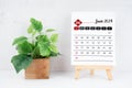 June 2024 calendar page and wooden plant pot