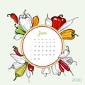 2020 June calendar vegetable. Bell chilli pepper groceries art vector set. Desk, screen, colorful 2020 calendar template