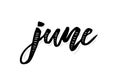 June Calligraphy Lettering Day Month Vector Brush