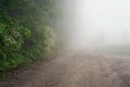 June dawn, foggy morning, landscape with roads and trees