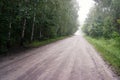 June dawn, misty landscape, empty road among trees