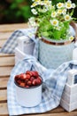 june or july garden scene with fresh picked organic wild strawberry and chamomile flowers on wooden table outdoor Royalty Free Stock Photo