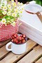 June or july garden scene with fresh picked organic wild strawberry